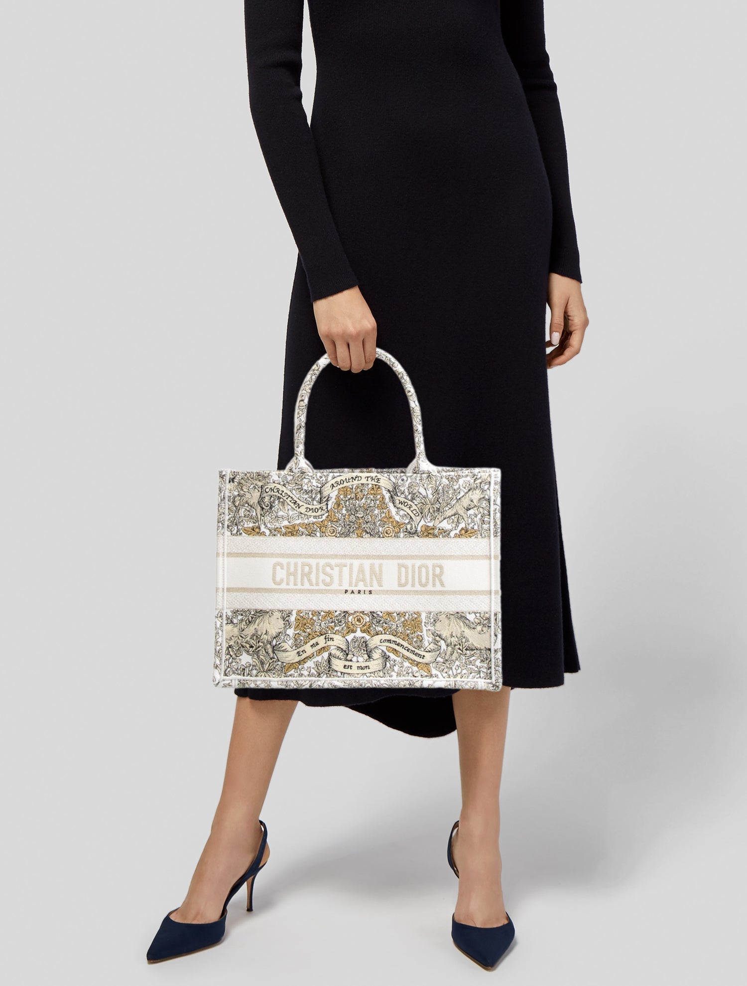 Christian Dior Canvas Book Medium 2024